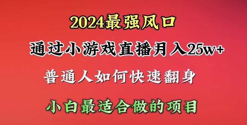 (10020期)2024年最强风口，通过小游戏直播月入25w+单日收益5000+小白最适合做的项目-灼光资源宝库