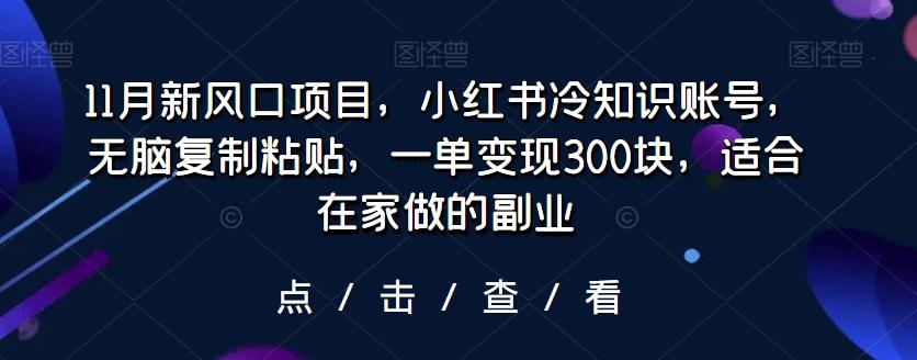 11月新风口项目，小红书冷知识账号，无脑复制粘贴，一单变现300块，适合在家做的副业-灼光资源宝库