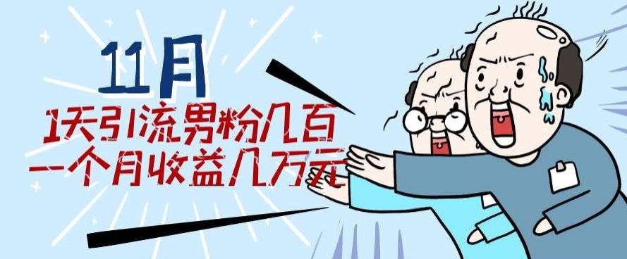 11月最新每天引流男粉300+一个月收益几万元-灼光资源宝库