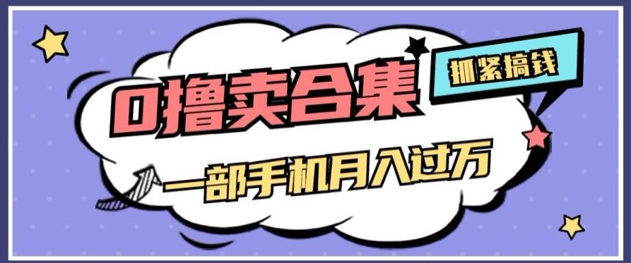 0撸项目月入过万，售卖全套ai工具合集，一单29.9元，一部手机即可【揭秘】-灼光资源宝库