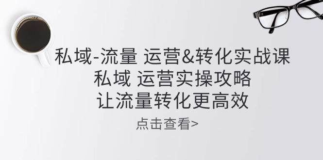 私域-流量 运营&转化实操课：私域 运营实操攻略 让流量转化更高效-资源宝库