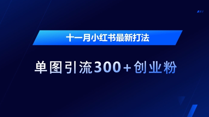 十一月小红书最新打法，单图引流300+创业粉【揭秘】-灼光资源宝库