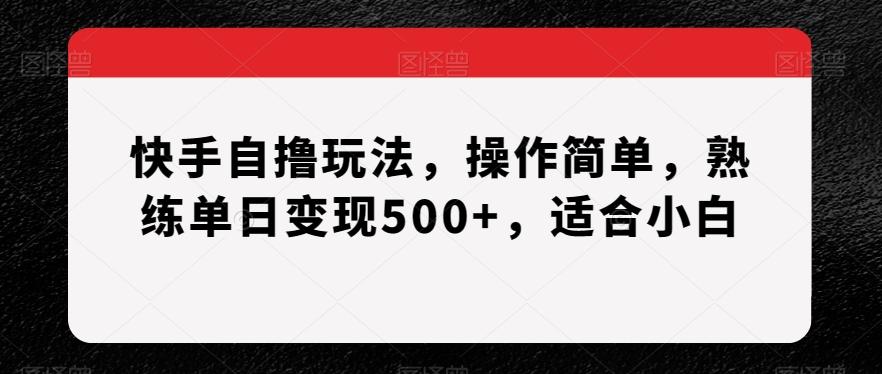 快手自撸玩法，操作简单，熟练单日变现500+，适合小白【揭秘】-灼光资源宝库