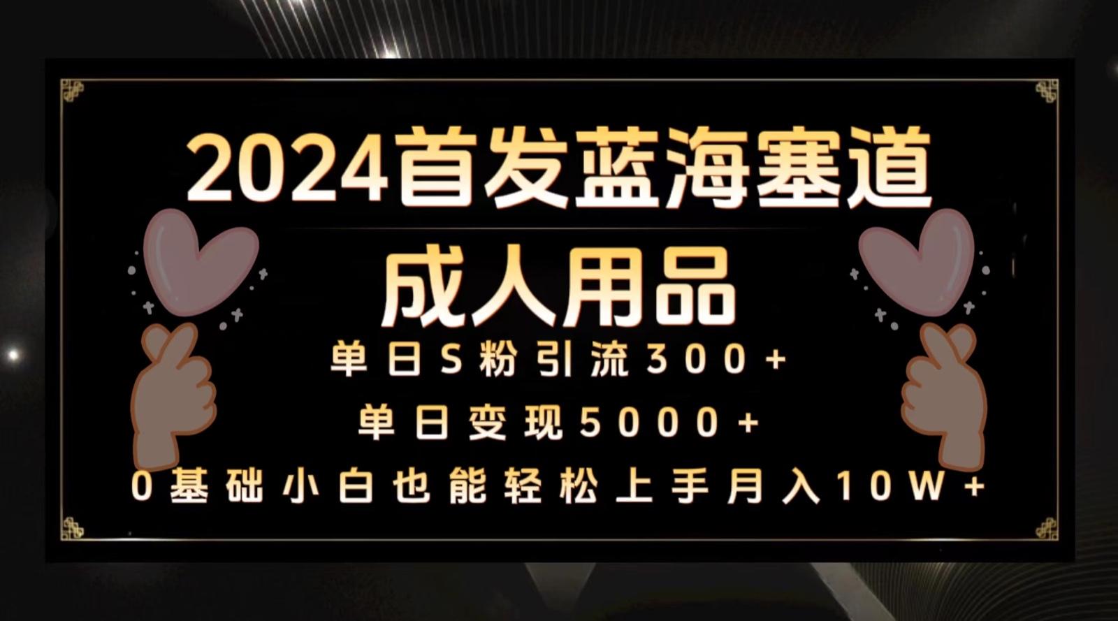 2024首发蓝海塞道成人用品，月入10W+保姆教程-灼光资源宝库