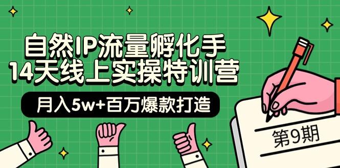 (9881期)自然IP流量孵化手 14天线上实操特训营【第9期】月入5w+百万爆款打造 (74节)-灼光资源宝库