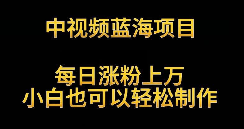 中视频蓝海项目,解读英雄人物生平,每日涨粉上万,小白也可以轻松制作,月入过万不是梦【揭秘】