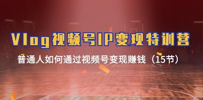 Vlog 视频号IP变现特训营，普通人如何通过视频号变现赚钱(15节-灼光资源宝库
