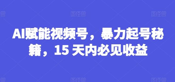AI赋能视频号，暴力起号秘籍，15 天内必见收益【揭秘】-灼光资源宝库