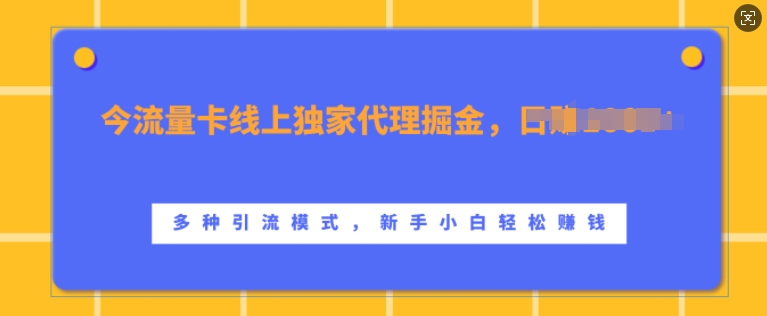 流量卡线上独家代理掘金，日入1k+ ，多种引流模式，新手小白轻松上手【揭秘】-灼光资源宝库