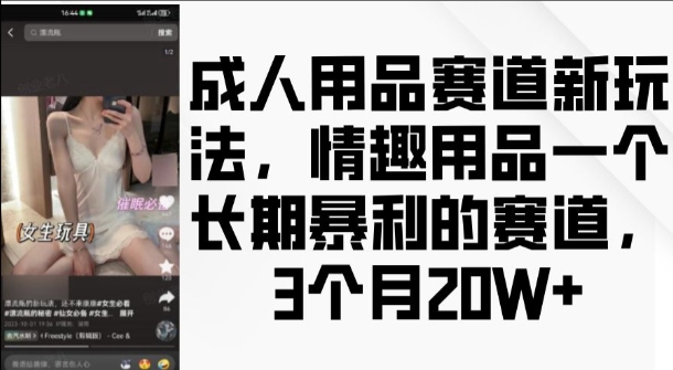 成人用品赛道新玩法，情趣用品一个长期暴利的赛道，3个月收益20个【揭秘】-灼光资源宝库