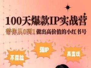 小红书100天爆款IP实战营，带你从0到1做出高价值的小红书号-灼光资源宝库