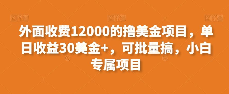 外面收费12000的撸美金项目，单日收益30美金+，可批量搞，小白专属项目-灼光资源宝库