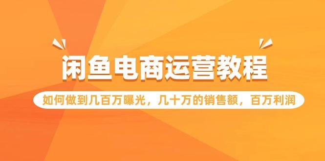 (9560期)闲鱼电商运营教程：如何做到几百万曝光，几十万的销售额，百万利润-灼光资源宝库