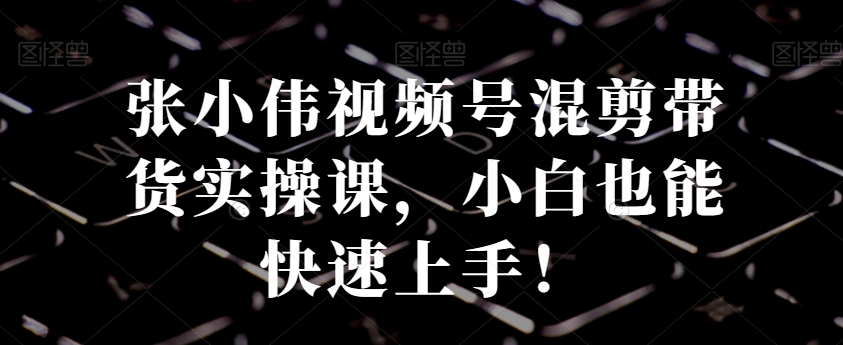 张小伟视频号混剪带货实操课，小白也能快速上手！-灼光资源宝库