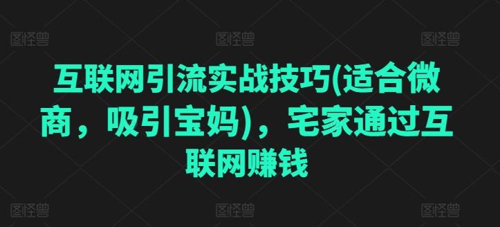 互联网引流实战技巧(适合微商，吸引宝妈)，宅家通过互联网赚钱-灼光资源宝库