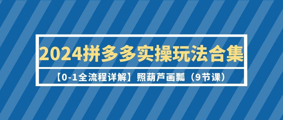 (9559期)2024拼多多实操玩法合集【0-1全流程详解】照葫芦画瓢(9节课)-灼光资源宝库