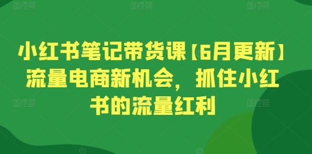 小红书笔记带货课【6月更新】流量电商新机会，抓住小红书的流量红利-蘑菇资源宝库