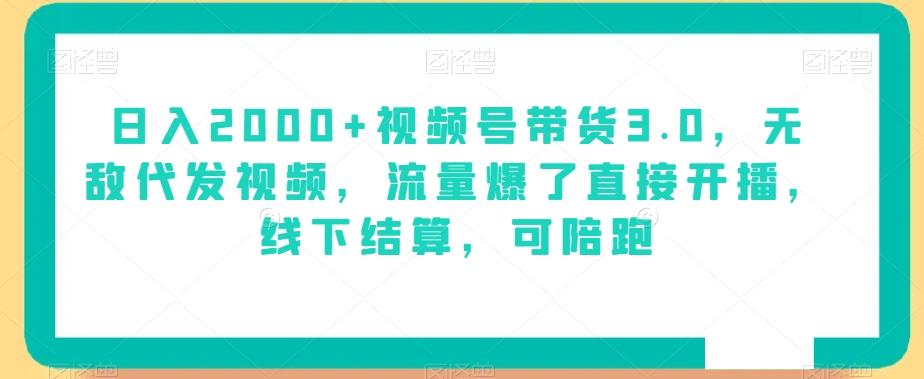 日入2000+视频号带货3.0，无敌代发视频，流量爆了直接开播，线下结算，可陪跑-灼光资源宝库
