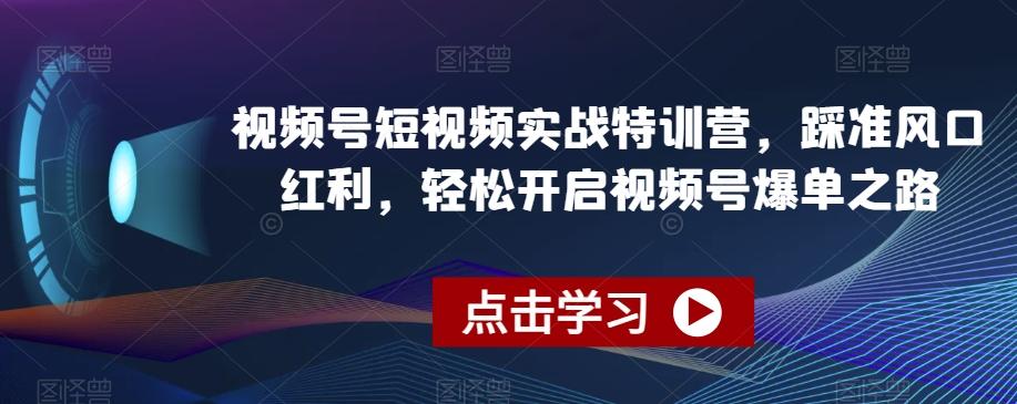 视频号短视频实战特训营，踩准风口红利，轻松开启视频号爆单之路-蘑菇资源宝库