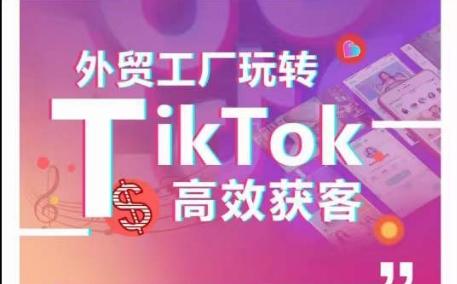 外贸工厂玩转TikTok高效获客，多种引流方式与账号定位技巧，拆解爆款短视频打造成功案例-灼光资源宝库