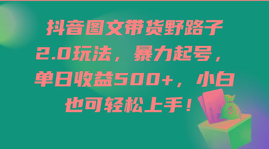 (9790期)抖音图文带货野路子2.0玩法，暴力起号，单日收益500+，小白也可轻松上手！-灼光资源宝库