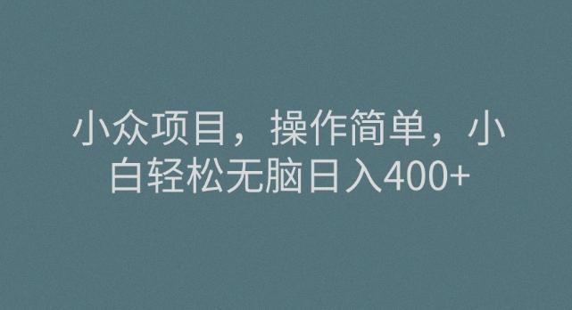 小众项目，操作简单，小白轻松无脑日入400+-灼光资源宝库