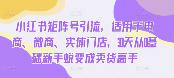 小红书矩阵号引流，适用于电商、微商、实体门店，30天从0基础新手蜕变成卖货高手-灼光资源宝库