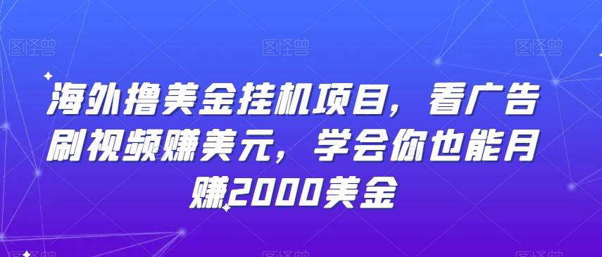 海外撸美金挂机项目，看广告刷视频赚美元，学会你也能月赚2000美金-灼光资源宝库
