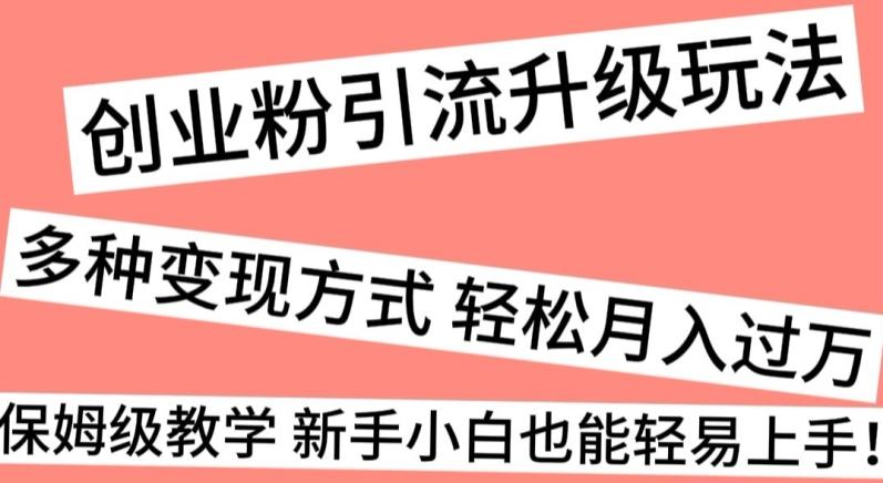 创业粉引流升级玩法，多种变现方式轻松月入过万，保姆级教学新手小白也能轻易上手！-灼光资源宝库