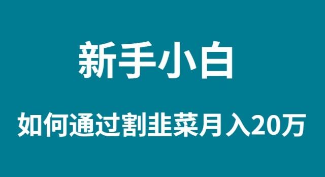 (9308期)新手小白如何通过割韭菜月入 20W-灼光资源宝库