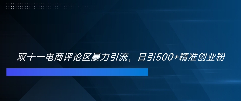 双十一电商评论区暴力引流，日引500+精准创业粉【揭秘】-灼光资源宝库