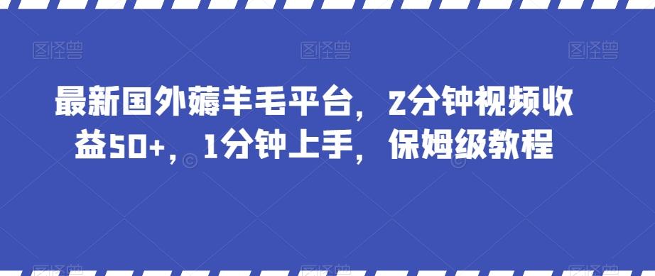 最新国外薅羊毛平台，2分钟视频收益50+，1分钟上手，保姆级教程【揭秘】-灼光资源宝库