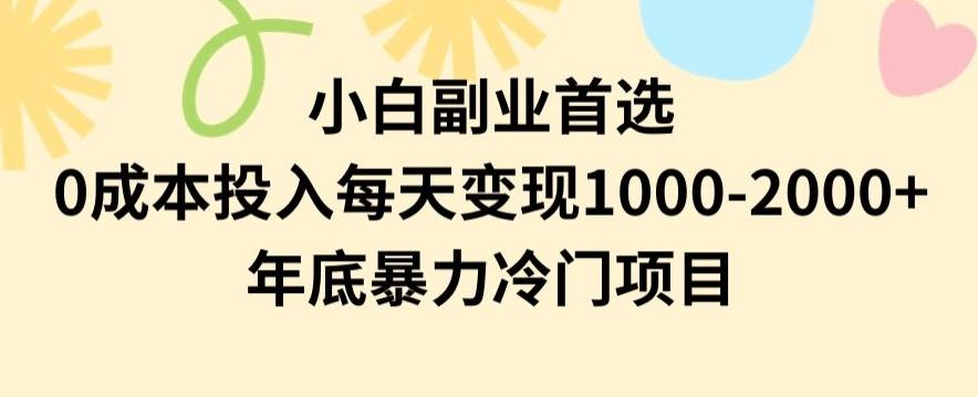 小白副业首选，0成本投入，每天变现1000-2000年底暴力冷门项目【揭秘】-灼光资源宝库