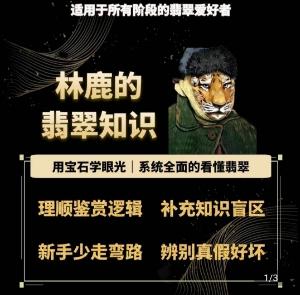 林鹿的翡翠知识，​用宝石眼光，系统全面的看懂翡翠-灼光资源宝库