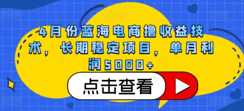 4月份蓝海电商撸收益技术，长期稳定项目，单月利润5000+【揭秘】-灼光资源宝库