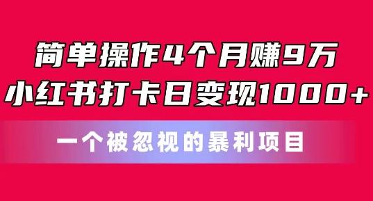 简单操作4个月赚9w，小红书打卡日变现1k，一个被忽视的暴力项目【揭秘】-蘑菇资源宝库