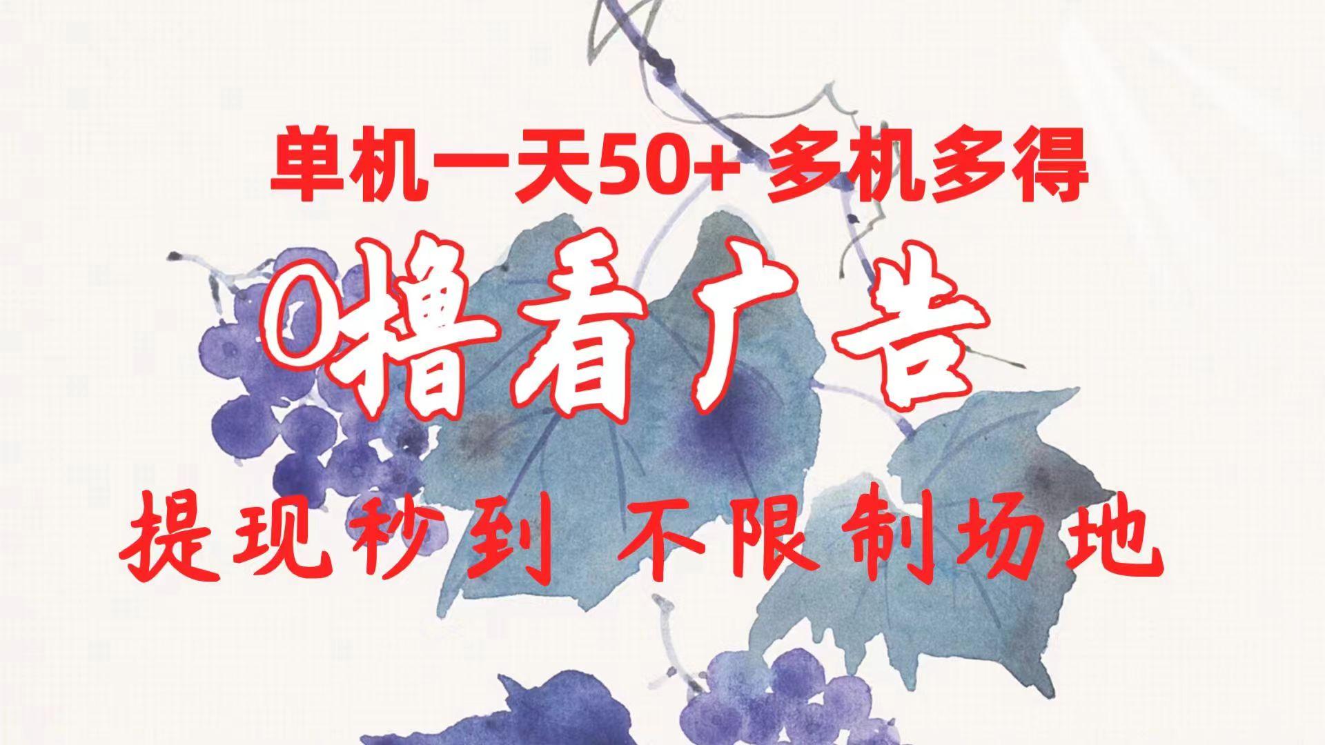 0撸看广告 单机一天50+多机多得 提现秒到 不限制场地操作-灼光资源宝库