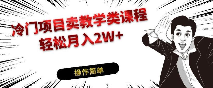冷门项目卖教学类课程,轻松月入2W+-灼光资源宝库