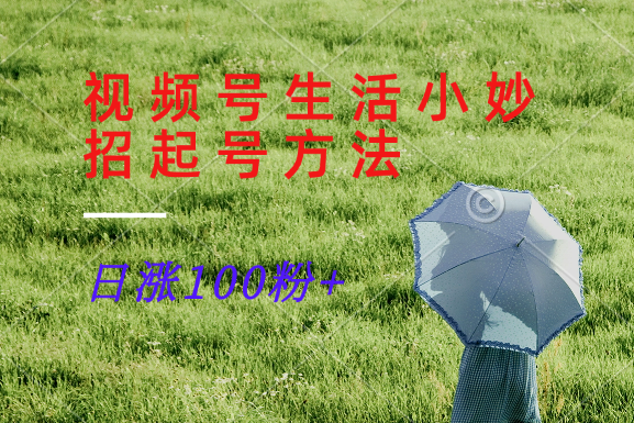 视频号生活小妙招分享赛道， 起号涨粉新方法，日涨100粉-灼光资源宝库