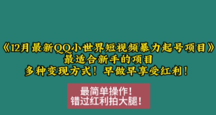 12月最新QQ小世界短视频暴力起号项目，最适合新手的项目，多种变现方式-灼光资源宝库