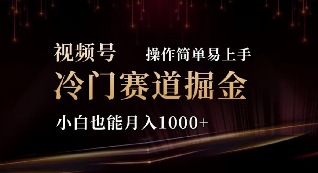 2024视频号冷门赛道掘金，操作简单轻松上手，小白也能月入1000+-灼光资源宝库