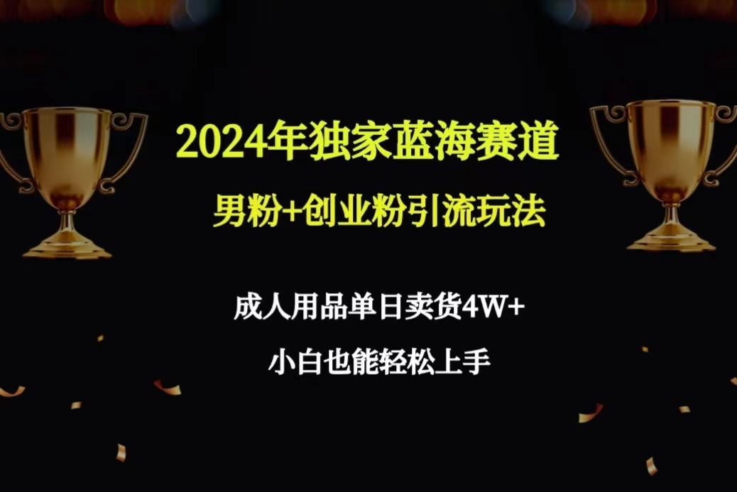 2024年独家蓝海赛道男粉+创业粉引流玩法，成人用品单日卖货4W+保姆教程-灼光资源宝库