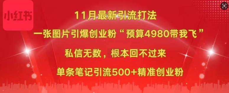 小红书11月最新图片打粉，一张图片引爆创业粉，“预算4980带我飞”，单条引流500+精准创业粉-灼光资源宝库