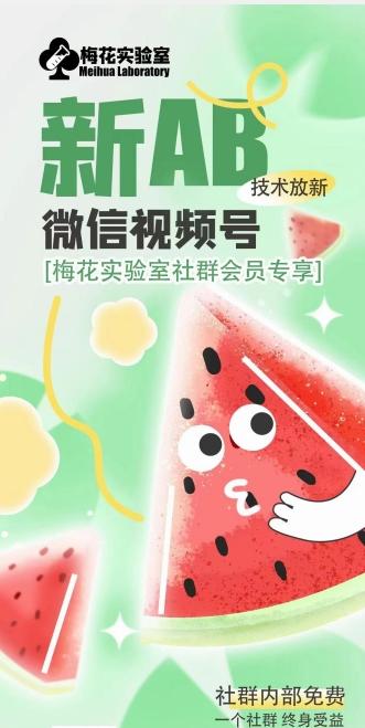 梅花实验室2024年AB技术视频号AB合成破解版-灼光资源宝库