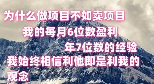 做项目不如卖项目，每月6位数盈利，年7位数经验-灼光资源宝库