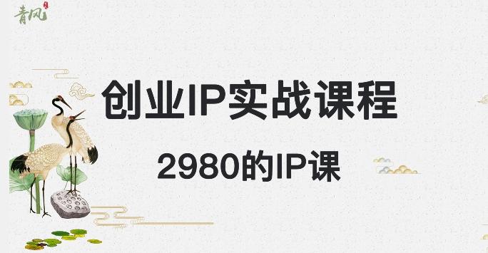 外边卖2980的创业IP课程，做私域月入5w+-灼光资源宝库