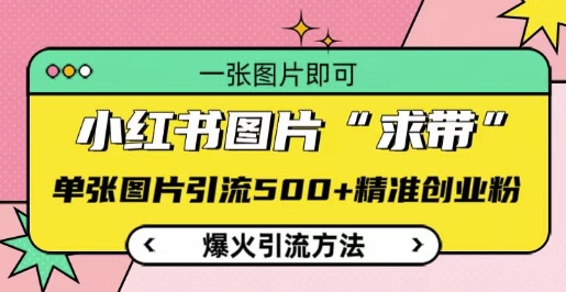 小红书图片‘求带’爆火引流法，单张图片引流500+精准创业粉【揭秘】-灼光资源宝库