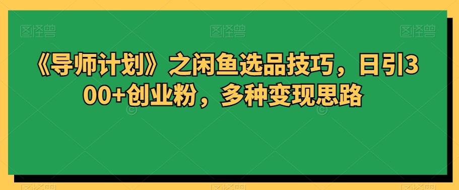 《导师计划》之闲鱼选品技巧，日引300+创业粉，多种变现思路-灼光资源宝库