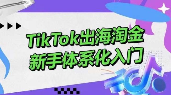 TikTok出海淘金，新手体系化入门，零基础快速入门，掌握短视频、直播带货等引流到变现的知识-灼光资源宝库