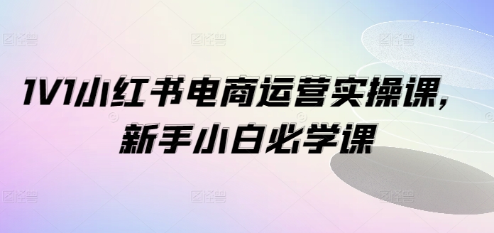 1V1小红书电商运营实操课,新手小白必学课-灼光资源宝库